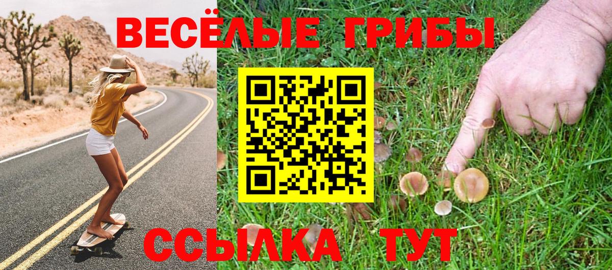 Галлюциногенные грибы прущие грибы  Вход с VPN  Шали  Галлюциногенные грибы GOLDEN TEACHER 