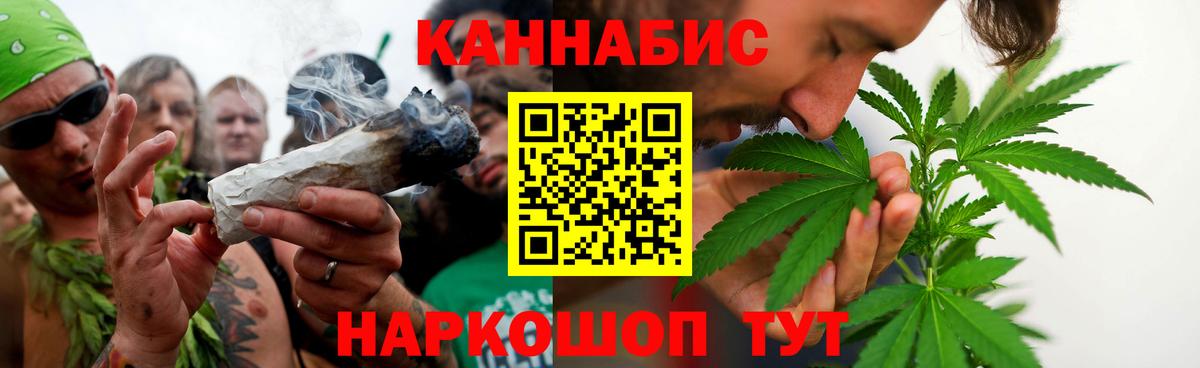 Каннабис сатива Шали